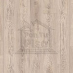 MUSHROOM CARPENTER OAK