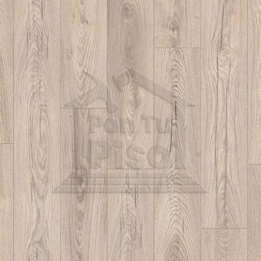 MUSHROOM CARPENTER OAK