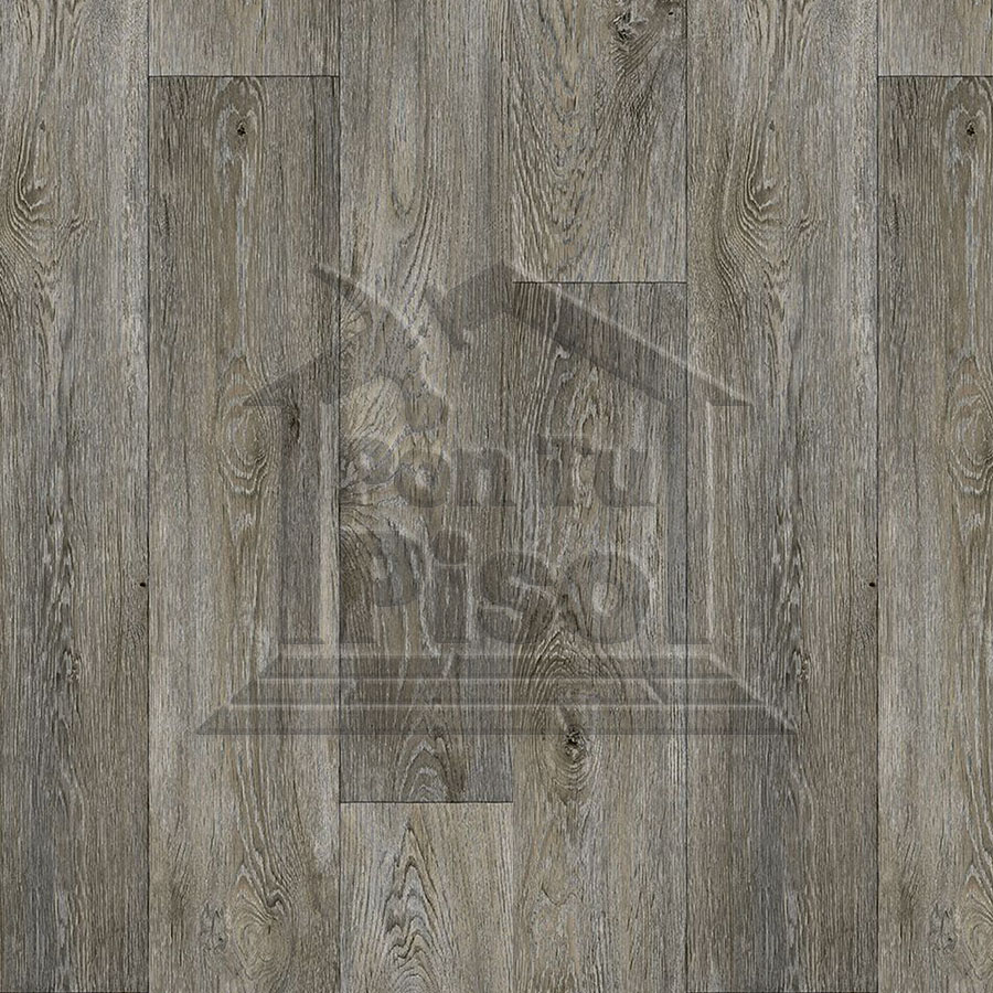 GAMMA NOVO AGED OAK 967M
