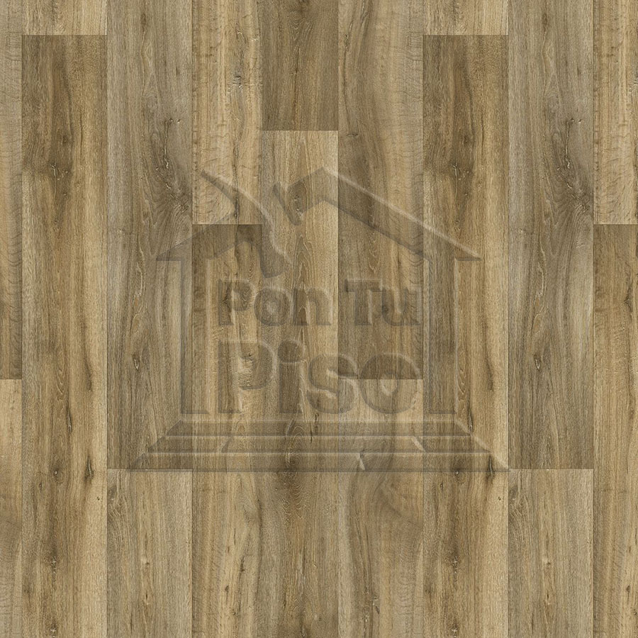 GAMMA NOVO LIME OAK 169M