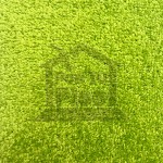 GROEN 41